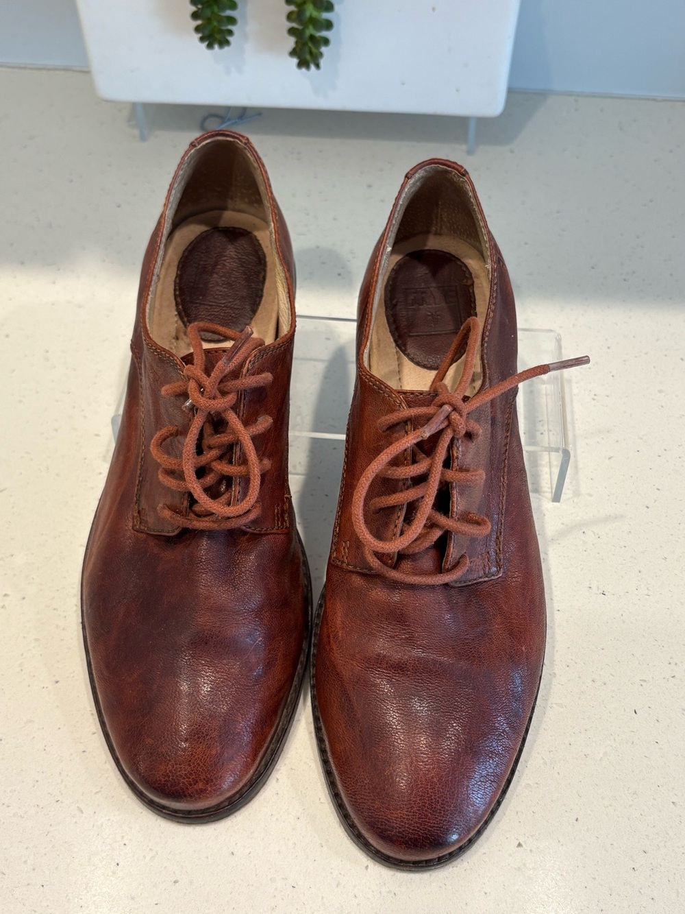 FRYE OXFORDS 9M/71060 ANNAOXFORD